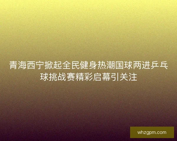 青海西宁掀起全民健身热潮国球两进乒乓球挑战赛精彩启幕引关注